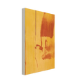 Harvest - 1976 Canvas | Helen Frankenthaler Canvas | Frankenthaler Helen